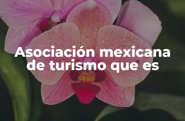 Asociación Mexicana de Turismo que es