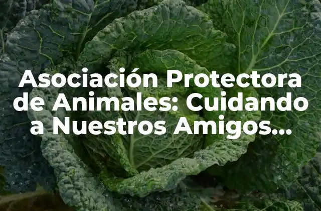 Asociación Protectora de Animales: Cuidando a Nuestros Amigos Fieles