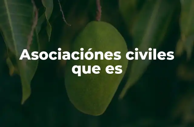 Asociaciónes Civiles que es