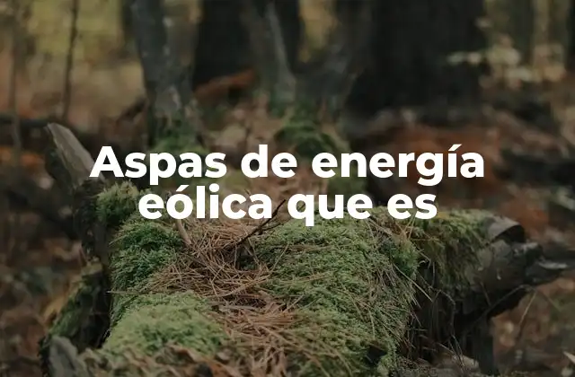 Aspas de Energía Eólica que es