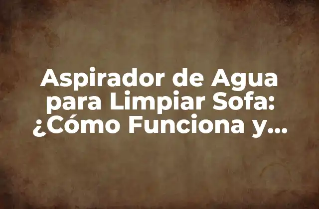 Aspirador de Agua para Limpiar Sofa: ¿cómo Funciona y Cómo Elegir el Mejor?