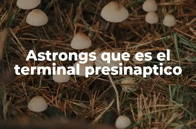 Astrongs que es el Terminal Presinaptico