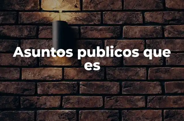 Asuntos Publicos que es