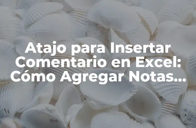 Atajo para Insertar Comentario en Excel: Cómo Agregar Notas Rápidamente