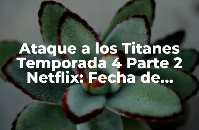 Ataque a los Titanes Temporada 4 Parte 2 Netflix: Fecha de Lanzamiento y Novedades