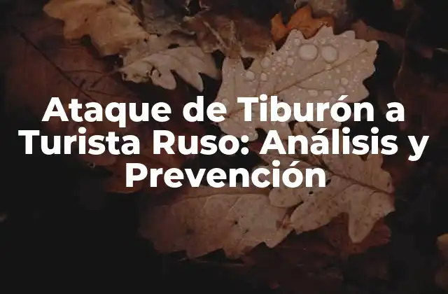 Ataque de Tiburón a Turista Ruso: Análisis y Prevención