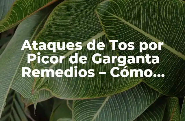 Ataques de Tos por Picor de Garganta Remedios – Cómo Aliviar la Tos Irritante