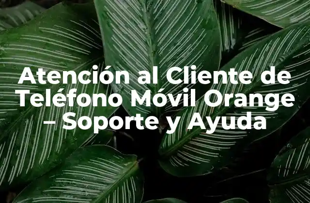 Atención Al Cliente de Teléfono Móvil Orange – Soporte y Ayuda