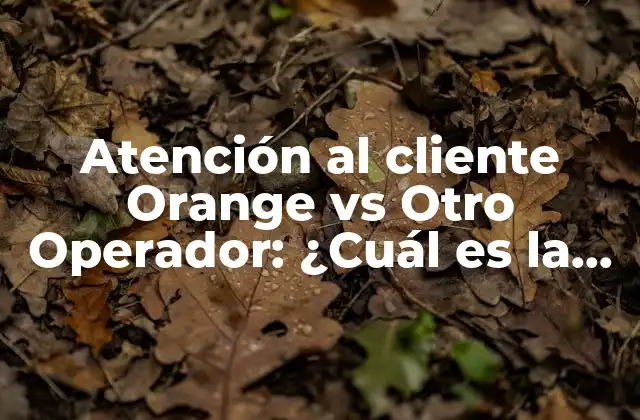 Atención Al Cliente Orange Vs Otro Operador: ¿cuál es la Mejor Opción? 2 ¿Qué es la atención al cliente en operadores de telecomunicaciones?