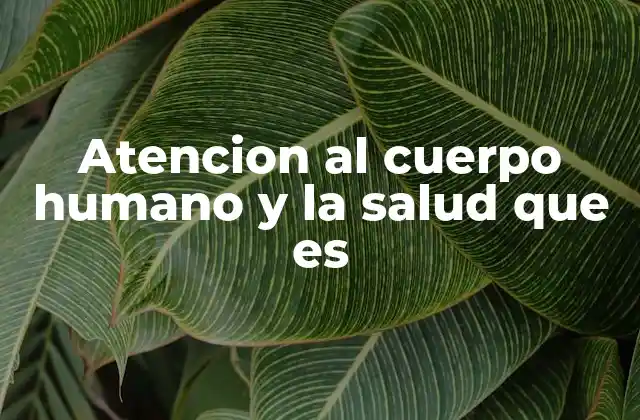 Atencion Al Cuerpo Humano y la Salud que es