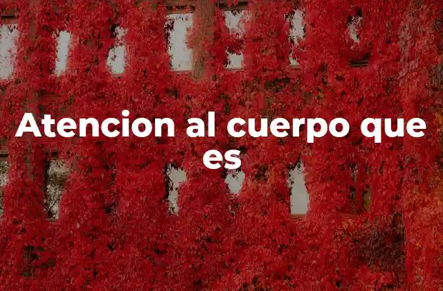 La importancia de escuchar el cuerpo como una guía interna