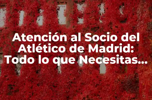 Atención Al Socio Del Atlético de Madrid: Todo Lo que Necesitas Saber