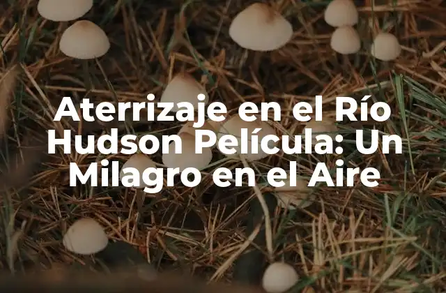 Aterrizaje en el Río Hudson Película: un Milagro en el Aire