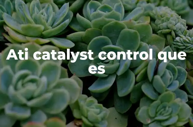 Ati Catalyst Control que es