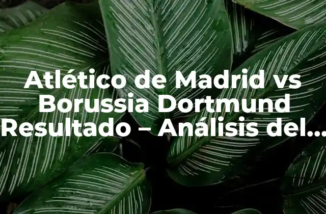 Atlético de Madrid Vs Borussia Dortmund Resultado - Análisis Del Partido 2 Historia del Partido - Atlético de Madrid vs Borussia Dortmund