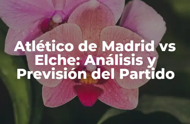 Atlético de Madrid Vs Elche: Análisis y Previsión Del Partido