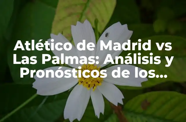 Atlético de Madrid Vs las Palmas: Análisis y Pronósticos de los Partidos