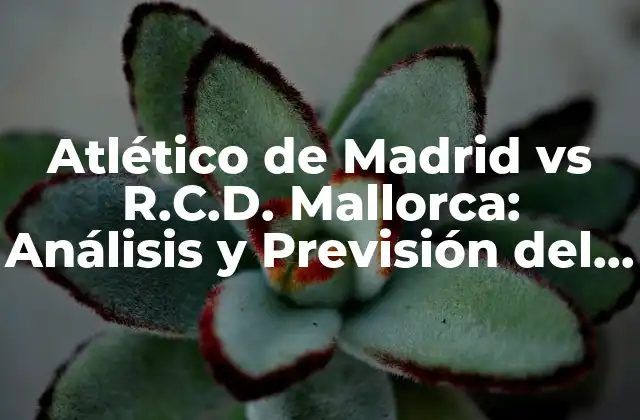 Historia entre Atlético de Madrid y R.C.D. Mallorca