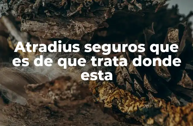Atradius Seguros que es de que Trata Donde Esta