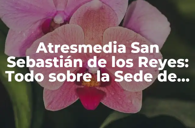Atresmedia San Sebastián de los Reyes: Todo sobre la Sede de Atresmedia en Madrid