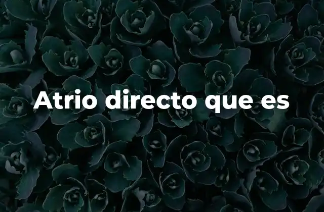 La importancia del atrio directo en la producción televisiva