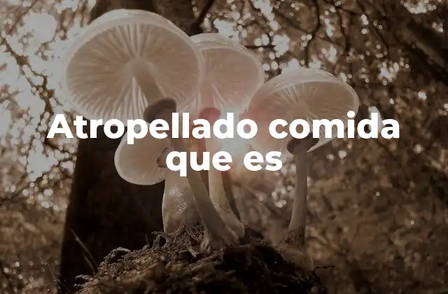 Atropellado Comida que es 2 Cómo se interpreta la idea de comida apresurada