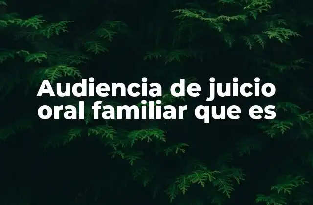 Audiencia de Juicio Oral Familiar que es