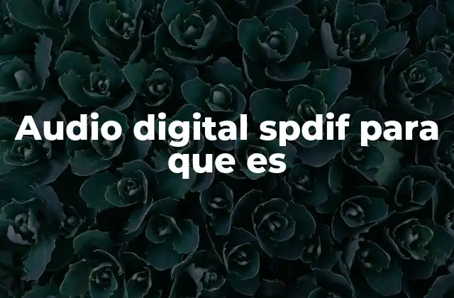 Audio Digital Spdif para que es