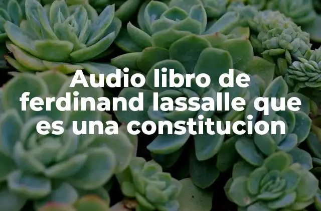 Audio Libro de Ferdinand Lassalle que es una Constitucion