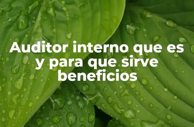 La importancia de la independencia en la auditoría interna