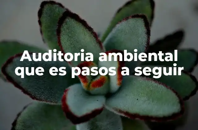 Auditoria Ambiental que es Pasos a Seguir