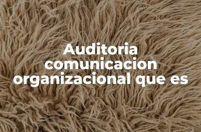 Auditoria Comunicacion Organizacional que es