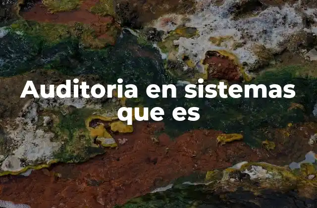 Auditoria en Sistemas que es