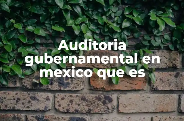 Auditoria Gubernamental en Mexico que es