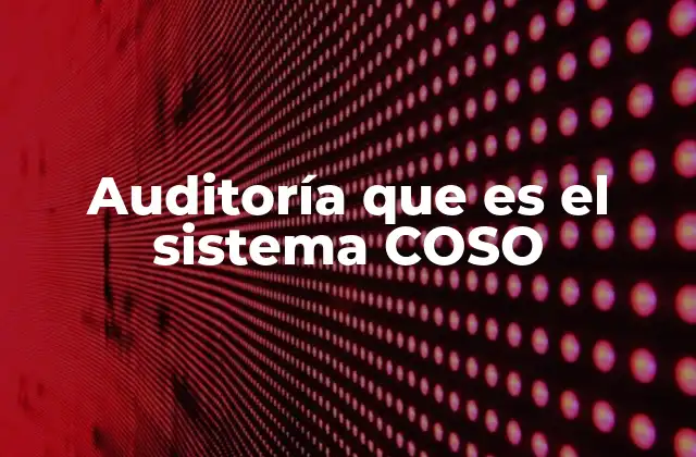 Auditoría que es el Sistema Coso