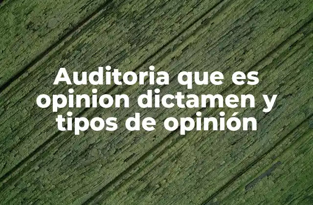 Auditoria que es Opinion Dictamen y Tipos de Opinión 2 La relación entre auditoría, dictamen y opinión de auditoría