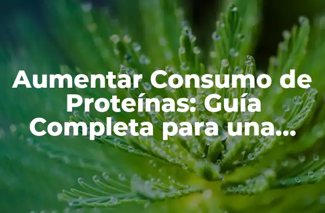 Aumentar Consumo de Proteínas: Guía Completa para una Nutrición Equilibrada