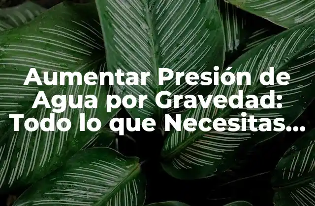 Aumentar Presión de Agua por Gravedad: Todo Lo que Necesitas Saber