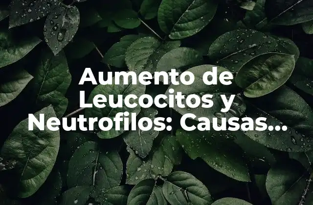 Aumento de Leucocitos y Neutrofilos: Causas, Síntomas y Tratamiento