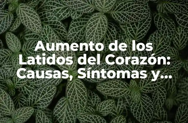 Aumento de los Latidos Del Corazón: Causas, Síntomas y Tratamiento