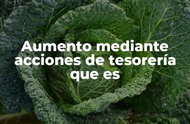 Cómo se diferencia de otros tipos de aumento de capital