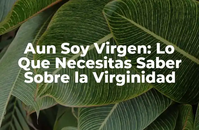 Aun Soy Virgen: Lo que Necesitas Saber sobre la Virginidad