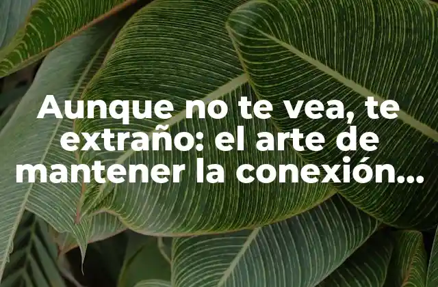 Aunque No Te Vea, Te Extraño: el Arte de Mantener la Conexión en la Distancia