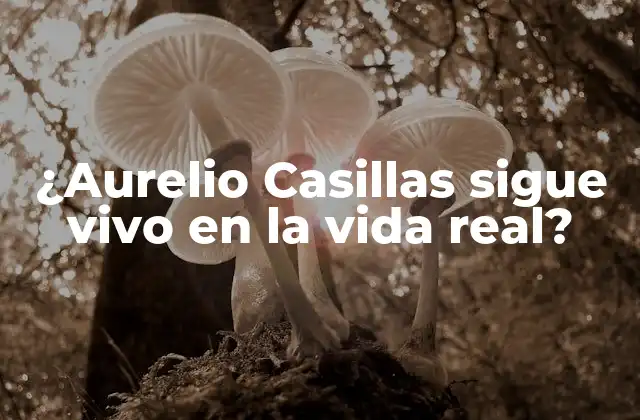 ¿aurelio Casillas Sigue Vivo en la Vida Real? 2 ¿Quién es Aurelio Casillas en la vida real?