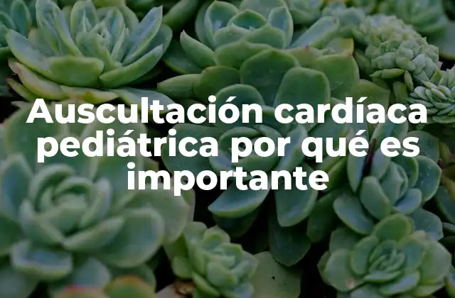 Auscultación Cardíaca Pediátrica por Qué es Importante