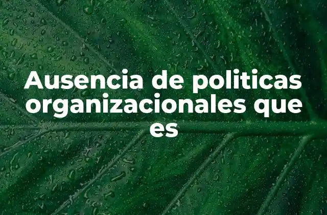 Ausencia de Politicas Organizacionales que es