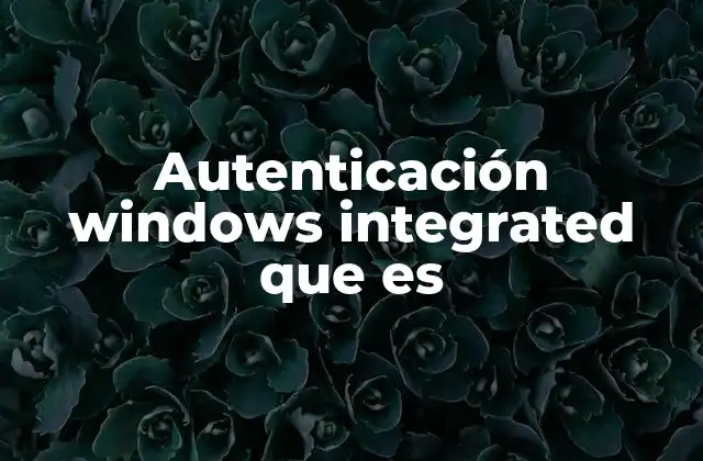 Autenticación Windows Integrated que es