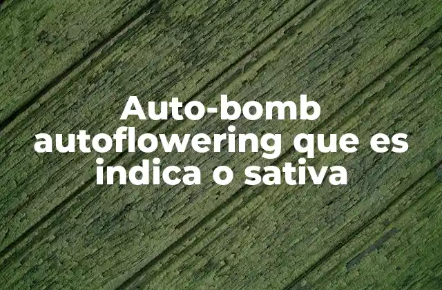 Características del Auto-bomb autoflowering