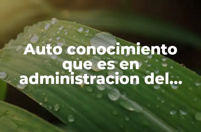 Auto Conocimiento que es en Administracion Del Tiempo