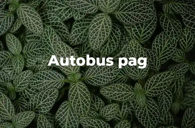 Autobus Pag 2 Ventajas del uso de autobuses con tarifa fija